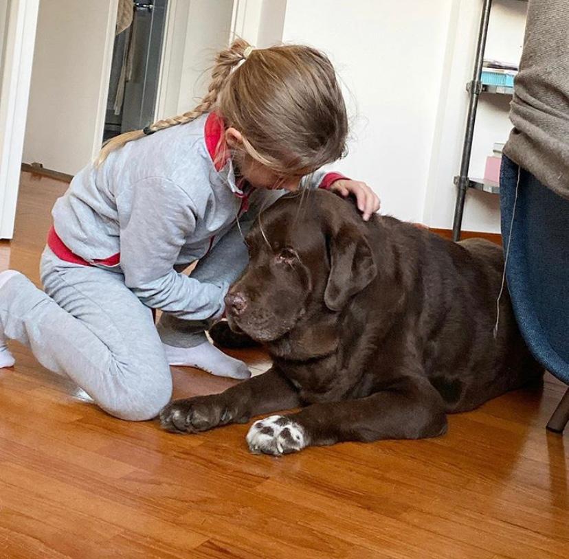 maddalena corvaglia lutto morto cane