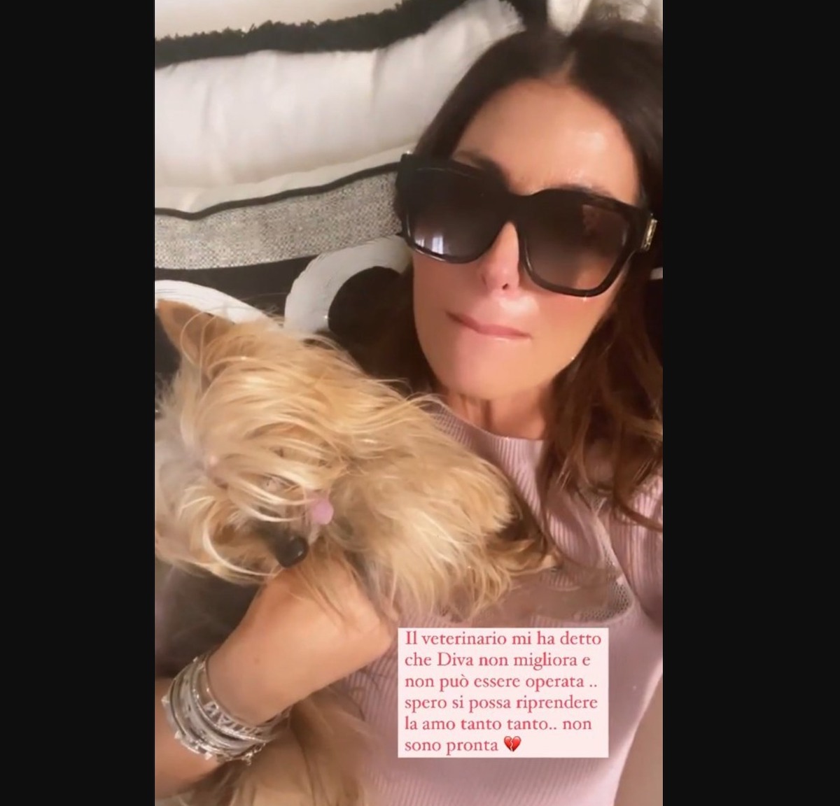 elisabetta gregoraci cane diva malata