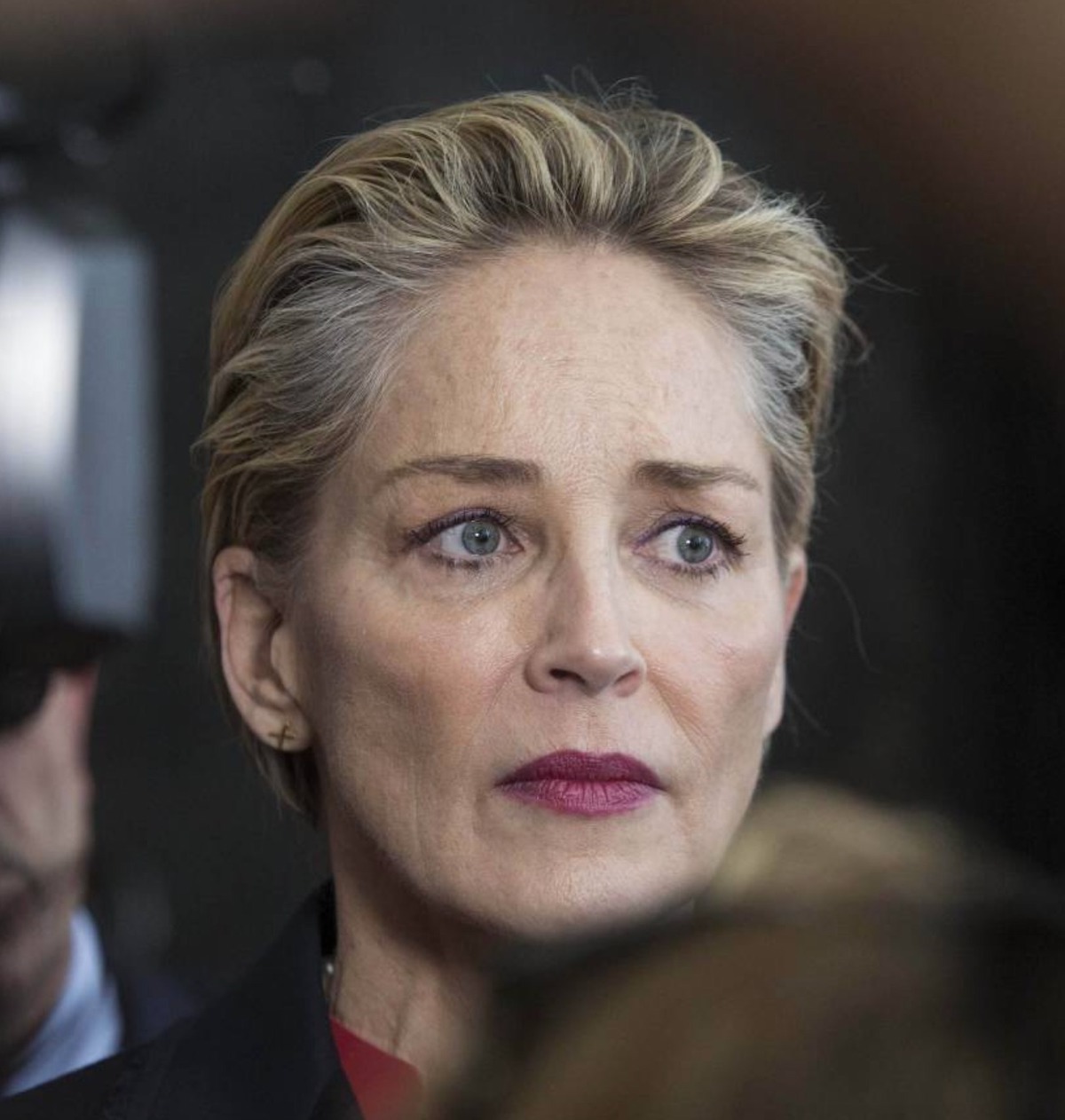 sharon stone mamma malata ictus