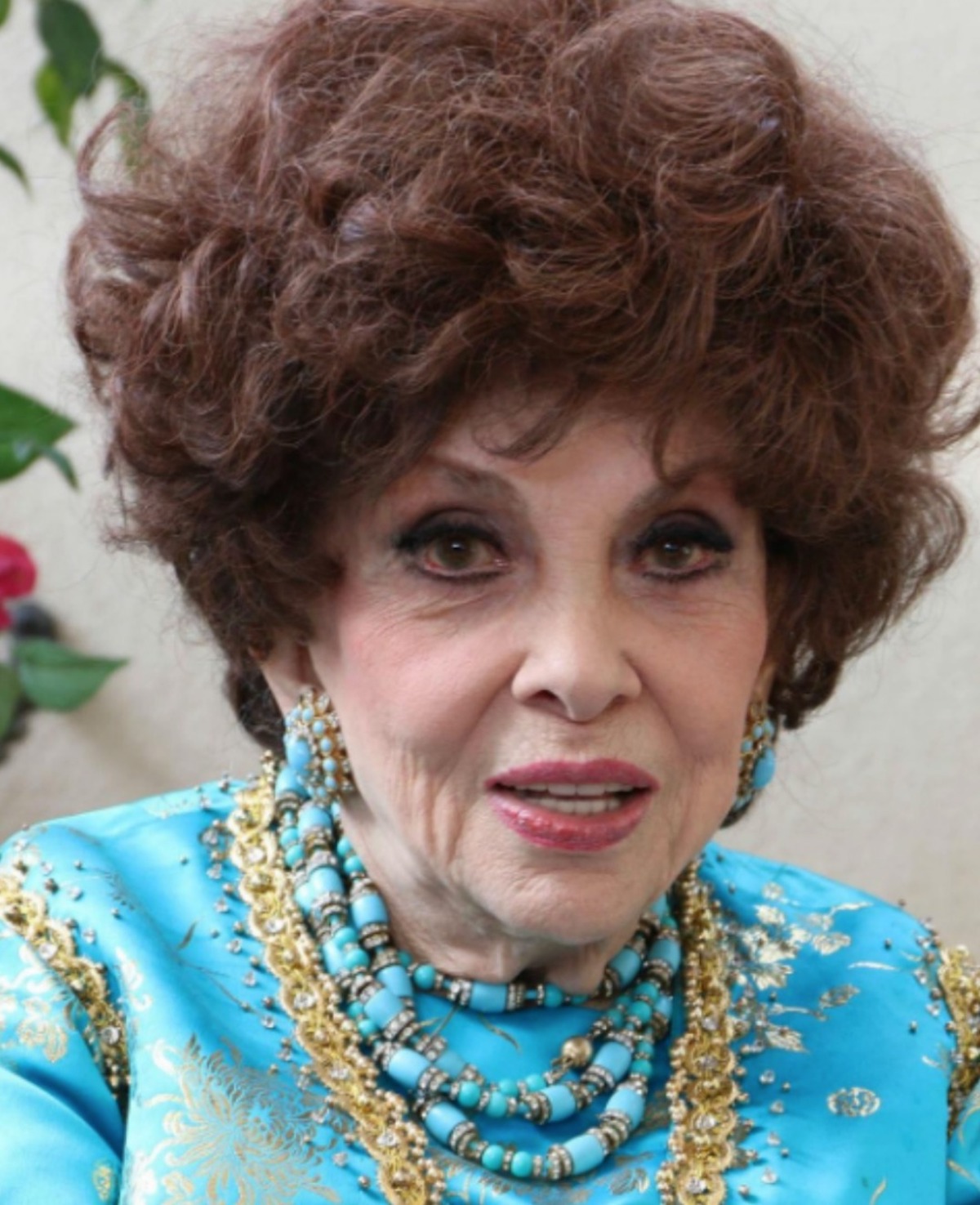 gina lollobrigida incidente ospedale